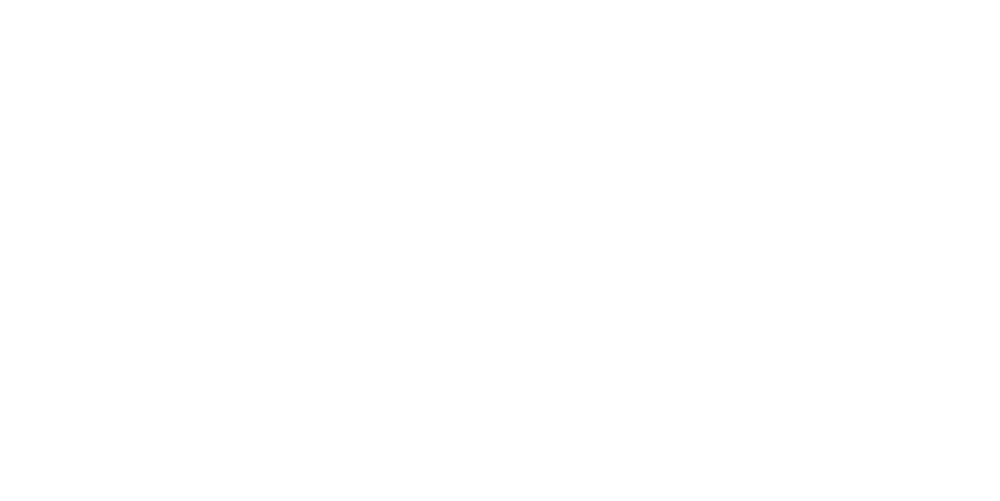 Sponsor logo Software Solved